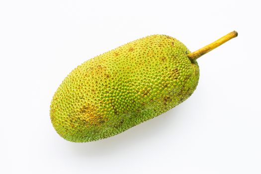 Champedak fruit on white background.