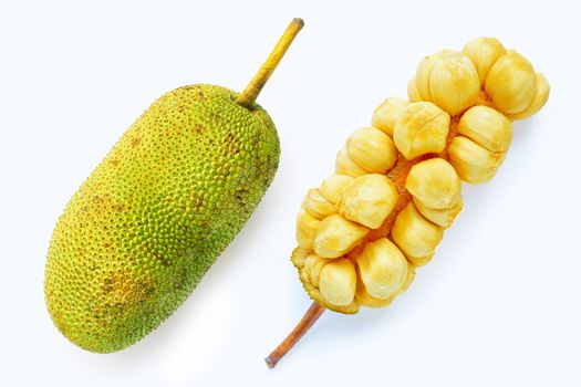Champedak fruit on white background.