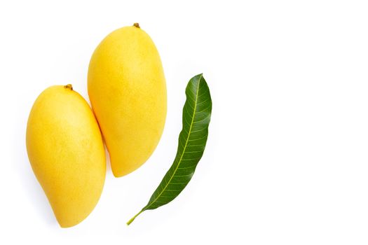 Top view of yellow mango, Tropical fruit  juicy and sweet.