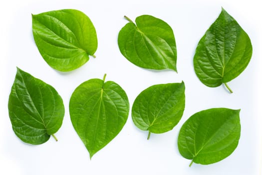 Green betel leaves, Fresh piper betle on white background. Top view