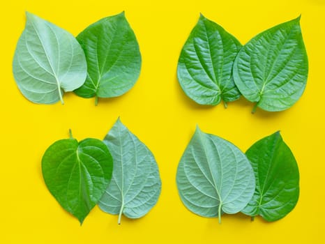 Green betel leaves, Fresh piper betle on yellow background. Top view