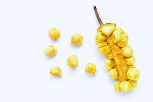 Champedak fruit on white background.