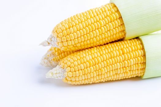 Fresh sweet corn on  white background.