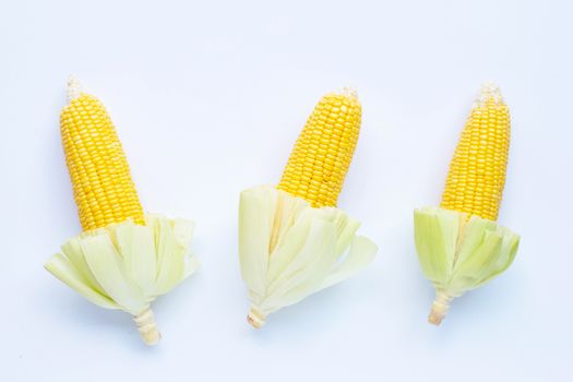 Fresh corn on a white background.