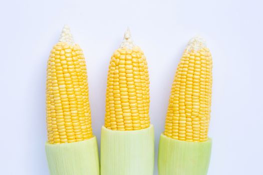 Fresh corn on a white background.