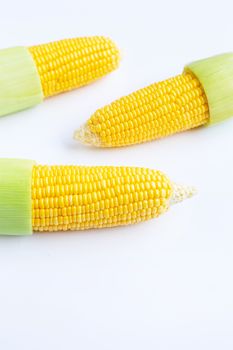 Fresh corn on a white background.