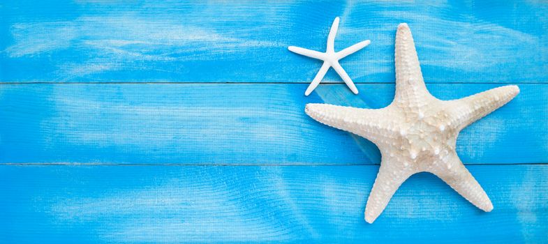 Two starfish on blue wooden background. Top view with copy space