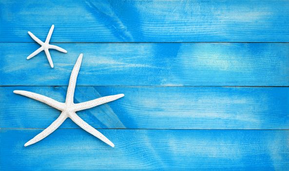 Two starfish on blue wooden background. Top view with copy space