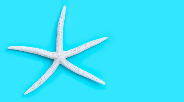 Starfish on blue background. Top view with copy space