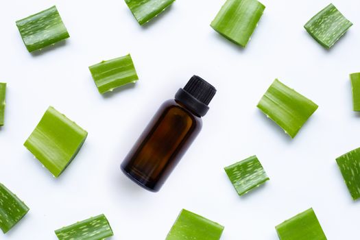 Essential oil with Aloe vera, Aloe vera is a popular medicinal plant for health and beauty, on a white background.