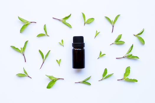 Holy basil essential oil in a glass bottle with fresh holy basil leaves and flower