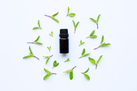Holy basil essential oil in a glass bottle with fresh holy basil leaves and flower