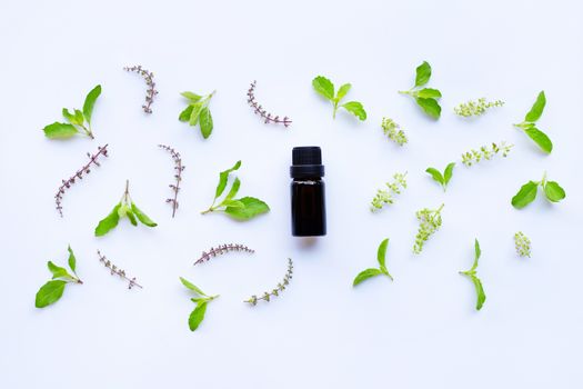 Holy basil essential oil in a glass bottle with fresh holy basil leaves and flower