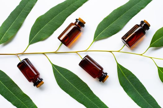 Title:

Eucalyptus oil bottle with eucalyptus branch on white background