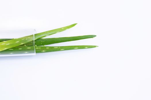 Aloe vera