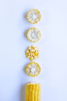 Corn on a white background.