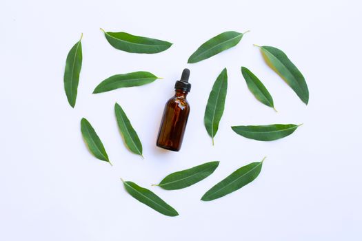 Eucalyptus essential oil bottle with leaves on white 