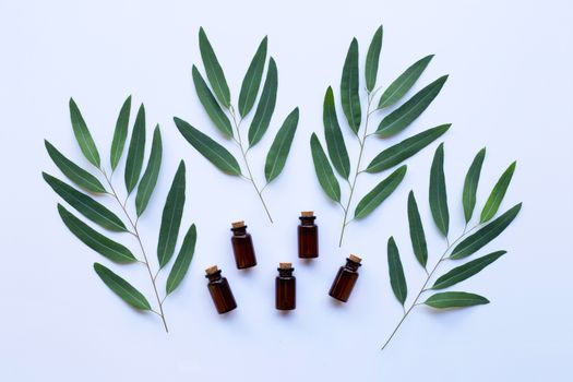 Eucalyptus oil bottle with  leaves on white background.