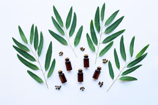 Eucalyptus oil bottle with  leaves on white background.