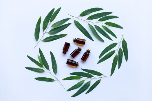 Eucalyptus oil bottle with  leaves on white background.