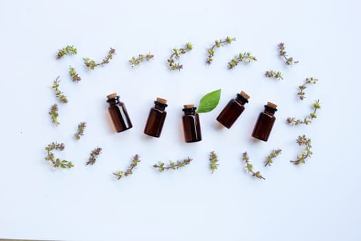 Flower of sweet basil and leave with drop bottle of essential oil herb on white background
