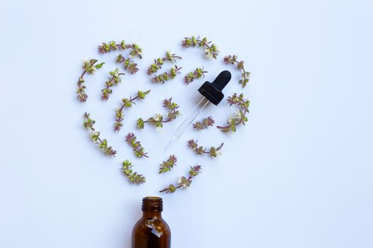 Flower of sweet basil with drop bottle of essential oil herb on white background