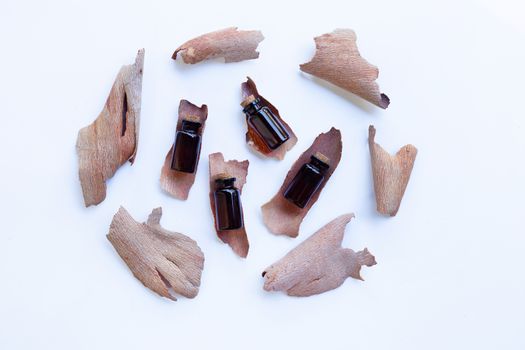 Dry eucalyptus bark with essential oil
