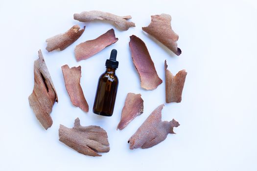 Dry eucalyptus bark with essential oil