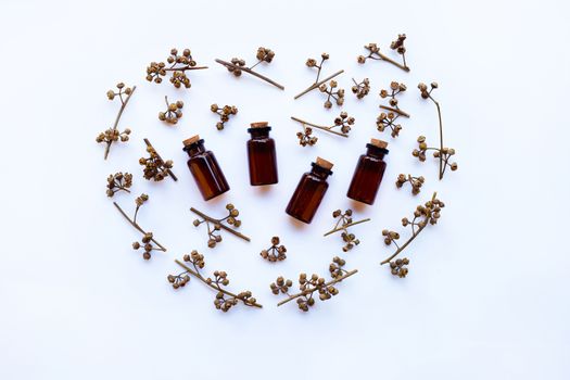 Eucalyptus essential oil bottle with dry seeded of eucalyptus  on white background.