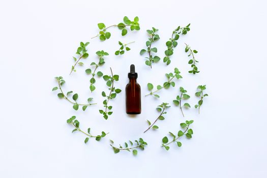Top view. Bottle of essential oil with oregano on white background.