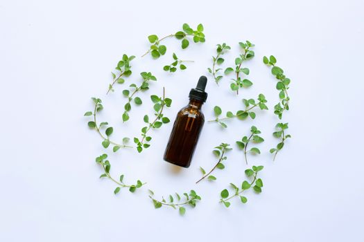A bottle of oregano essential oil with fresh oregano leaves on white background.