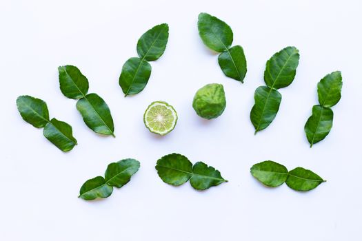 Bergamot kaffir lime with leaves herb fresh ingredient isolated on white background.
