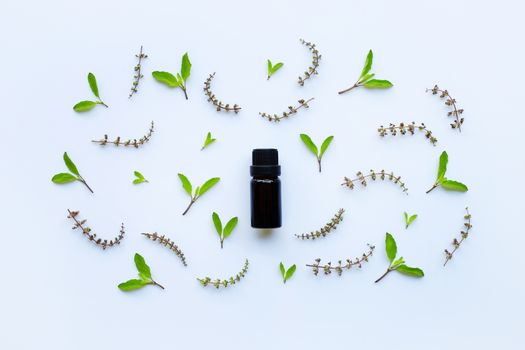 Holy basil essential oil in a glass bottle with fresh holy basil leaves and flower