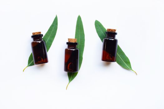 Eucalyptus essential oils with leaves on white