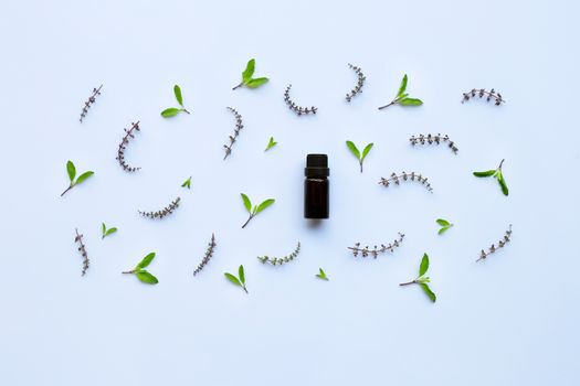Holy basil essential oil in a glass bottle with fresh holy basil leaves and flower