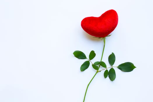Red heart with rose branch on white background. Copy space.  Concept background for Valentines Day 