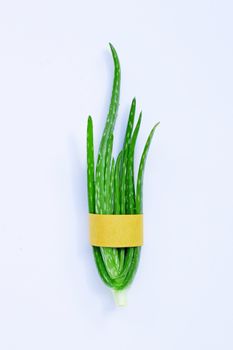 Aloe vera  on white background.