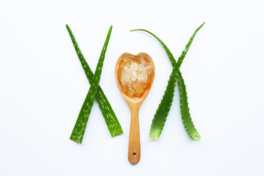 Aloe vera is a popular medicinal plant for health and beauty, on white background.