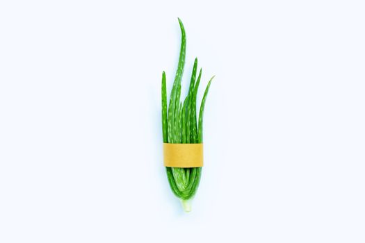 Aloe vera  on white background.