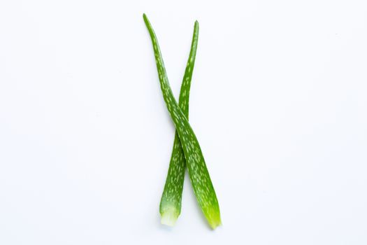Aloe vera  on white background.