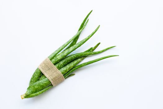 Aloe vera  on white background.