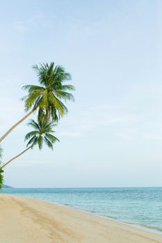 Beautiful beach with coconut palm trees. Holiday and vacation concept