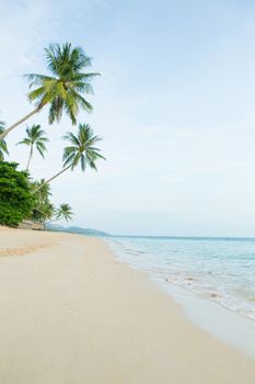 Beautiful beach with coconut palm trees. Holiday and vacation concept