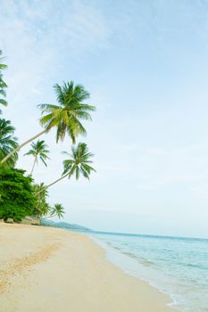 Beautiful beach with coconut palm trees. Holiday and vacation concept