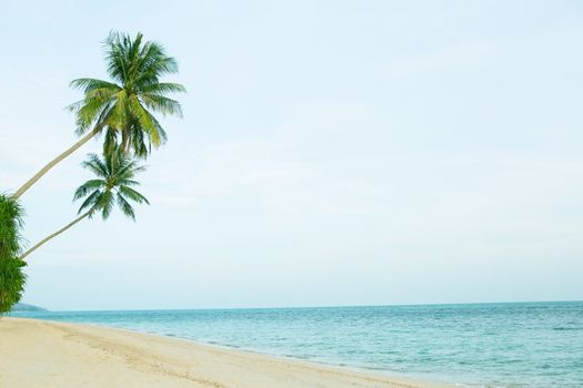 Beautiful beach with coconut palm trees. Holiday and vacation concept