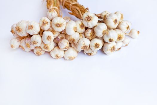 Garlic on a white background.