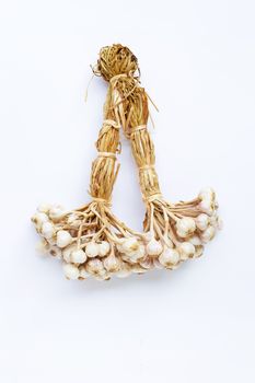 Garlic on a white background.