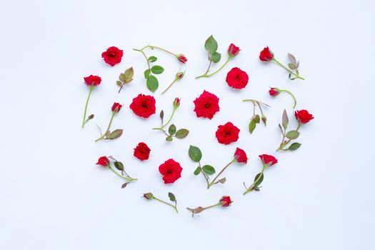 Rose  on white background. Heart shape and top view