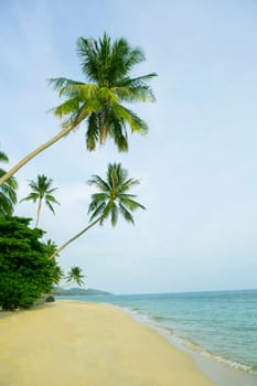 Beautiful beach with coconut palm trees. Holiday and vacation concept