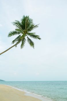 Beautiful beach with coconut palm tree. Holiday and vacation concept